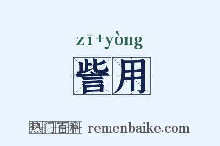 訾用是什么意思的图片